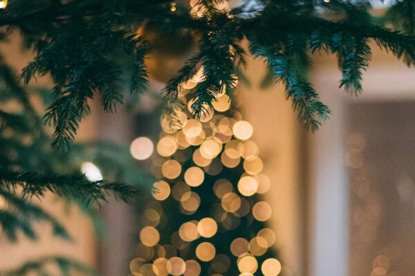 3 ways to stay healthy during the holidays