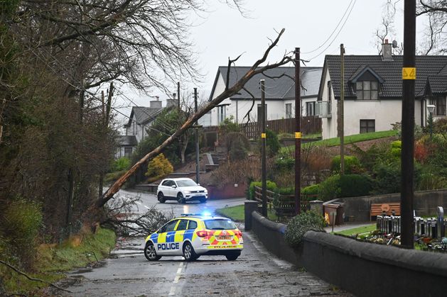 Storm Darragh Northern Ireland LIVE tracker: Some NI homes ‘face days without power’ as NIE works to restore services to 22,000