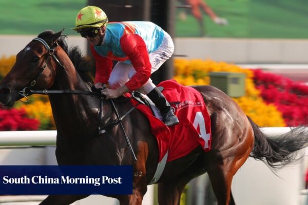 Emerging Ka Ying Rising overshadows champion Romantic Warrior in build-up to Hong Kong racing’s biggest day | HK Racing