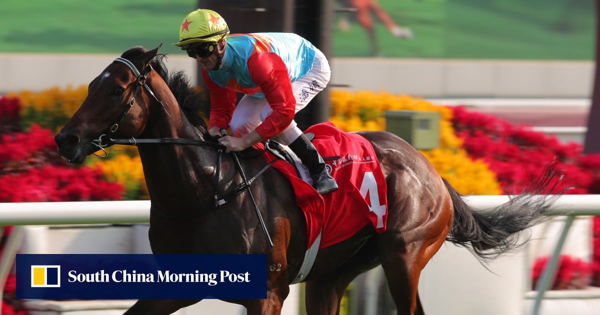 Emerging Ka Ying Rising overshadows champion Romantic Warrior in build-up to Hong Kong racing’s biggest day | HK Racing