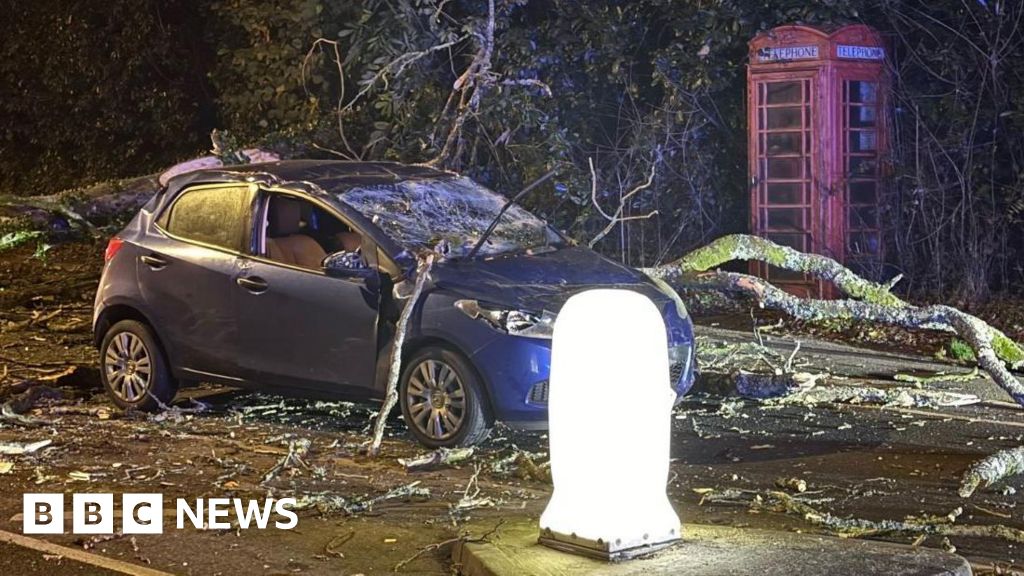 Trains cancelled and power cuts for thousands