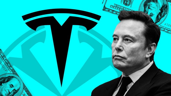 Montage of Elon Musk, Tesla and US dollars