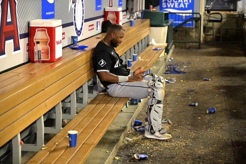 Angels acquire C Chuckie Robinson from White Sox