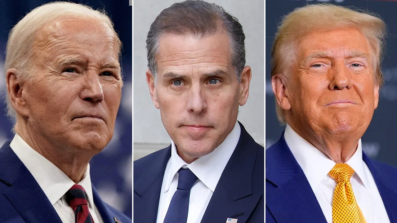 Biden, Trump both rip DOJ after President pardons Hunter