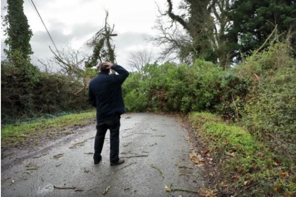 Storm Darragh: Met Éireann forecasters upgrade six counties to Status Red wind warning, Christmas events cancelled