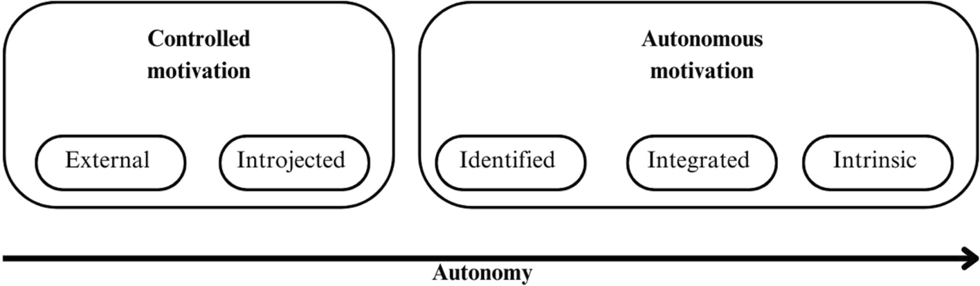 Exploring motivation, goals, facilitators, and barriers to adopt health behaviors at retirement age: a focus group study | BMC Public Health