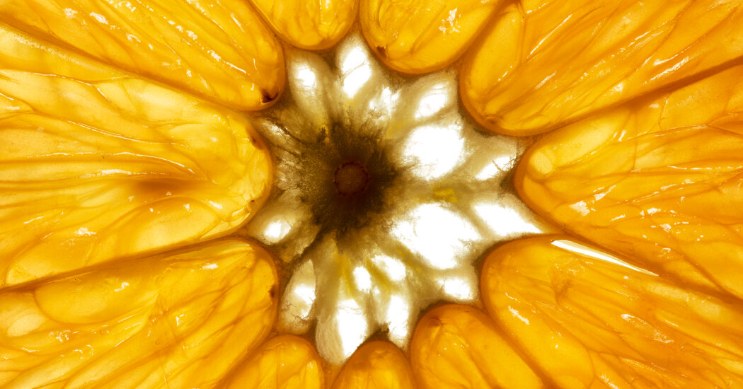 How Healthy Is Citrus Fruit?