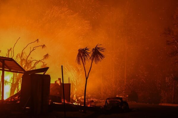 Carlos Vela's family safe after home destroyed in LA fires