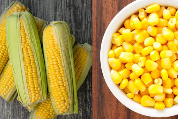 7 Health Benefits of Adding Corn to Your Daily Diet