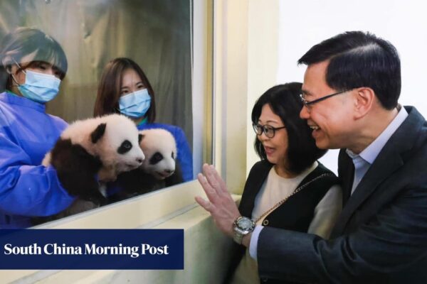 Hong Kong’s twin panda cubs to meet public on February 16, John Lee says