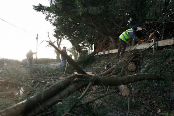 Storm Eowyn Leaves a Third of Ireland Without Power