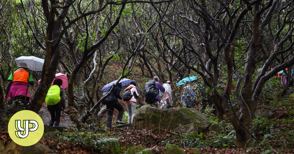 As tourist hiking incidents double, Hong Kong police urge safety awareness - Young Post