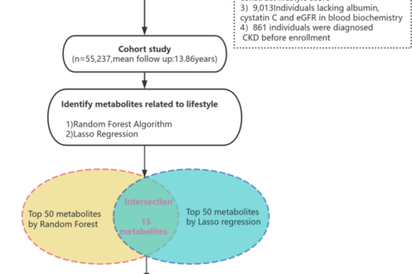 The association between metabolomic profiles of lifestyle and the latent phase of incident chronic kidney disease in the UK Population