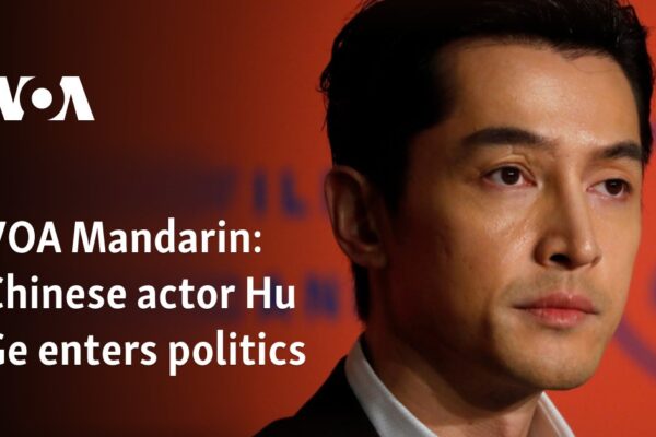 Chinese actor Hu Ge enters politics