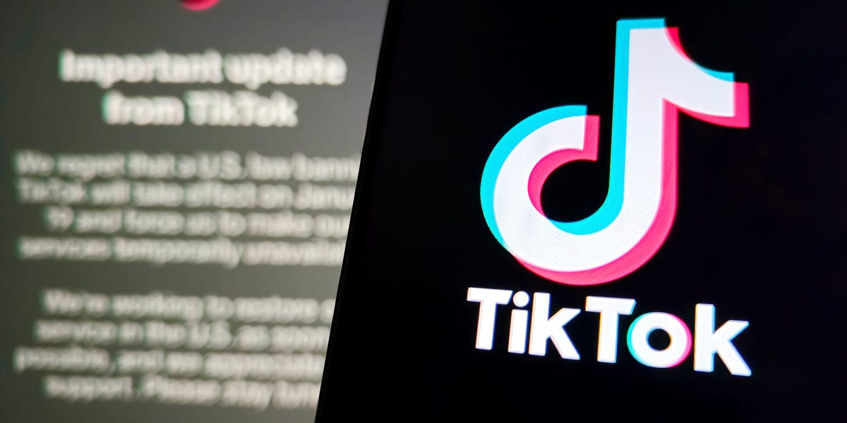 Celebrities, Influencers React to TikTok Ban: 'This Is so Dystopian'