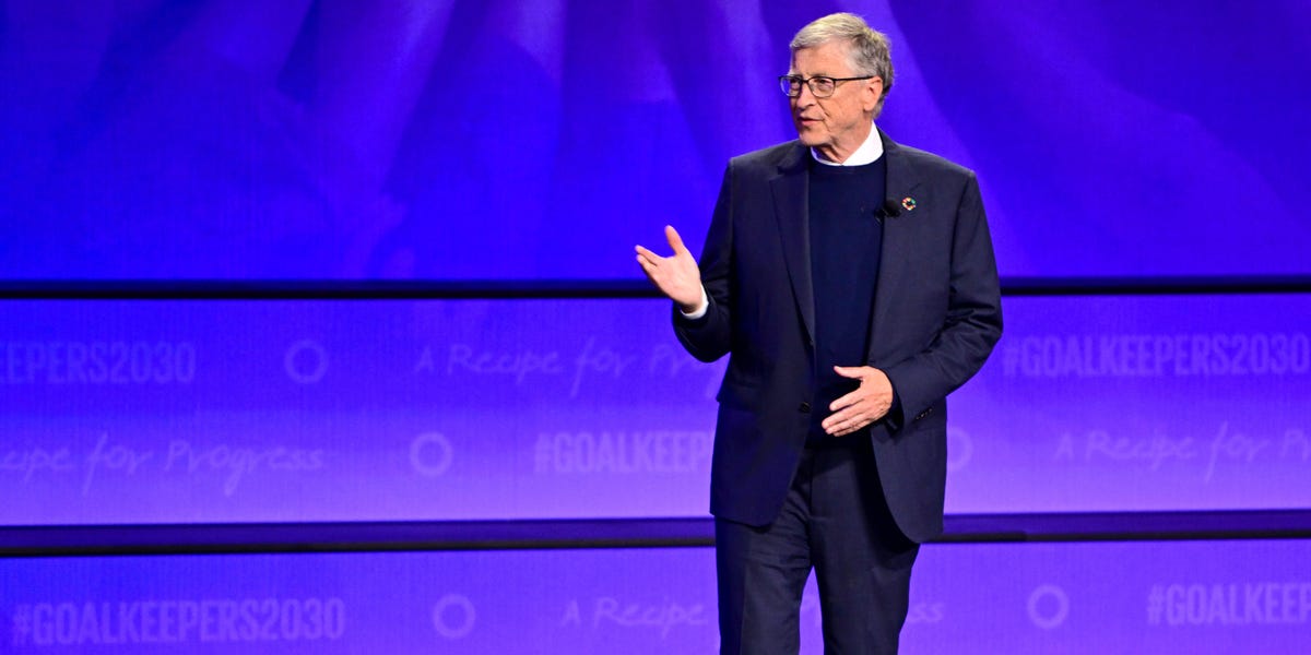 Bill Gates: Elon Musk's DOGE Could Be 'Valuable'