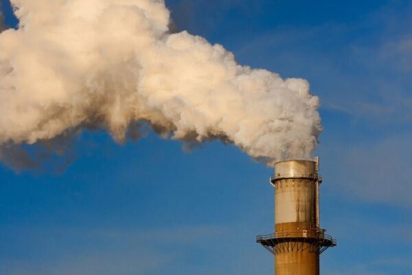 Mayo Clinic Q and A: How environmental exposures affect your health | Lifestyle