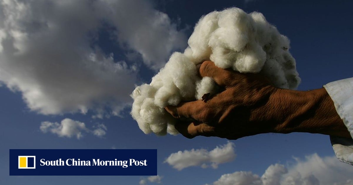 China slams Calvin Klein parent firm, ‘Crimson Skyblade’ unveiled: SCMP daily highlights