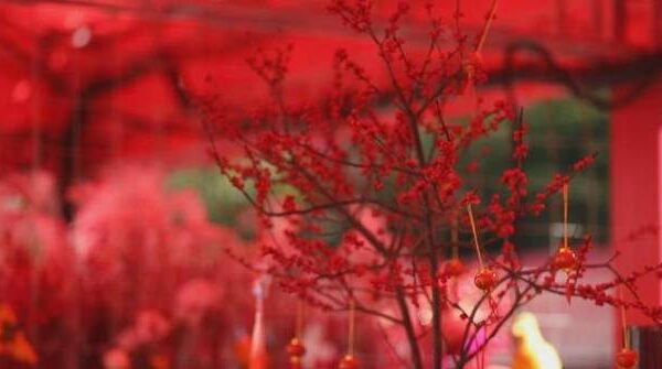 Greater Bay Area residents gather in Shenzhen for innovative Spring Festival celebrations