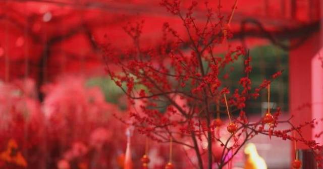 Greater Bay Area residents gather in Shenzhen for innovative Spring Festival celebrations
