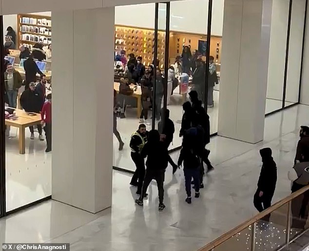 A gang of youths were seen targeting the Apple store in the Brent Cross shopping centre on January 5