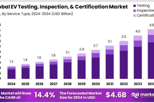 EV Testing, Inspection, Certification Market Size EV Testing, Inspection, and Certification Market Growth Analysis