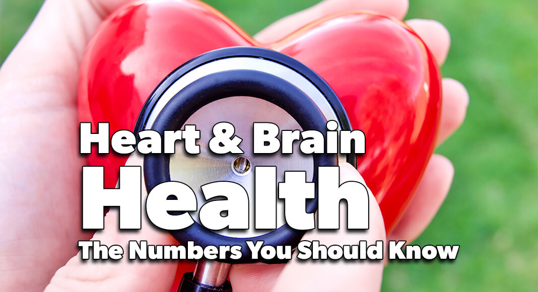 Heart & Brain Health - Mega Doctor News