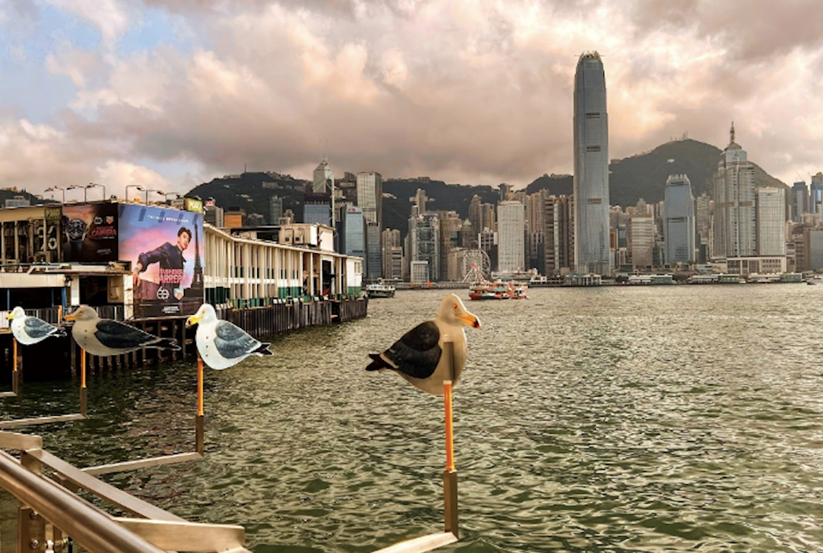 Hong Kong's rich potential as a crypto art trading hub