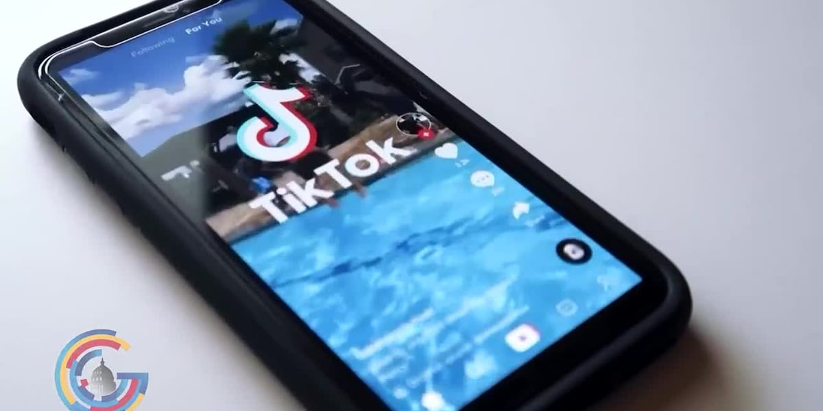 US Supreme Court to hear TikTok ownership case