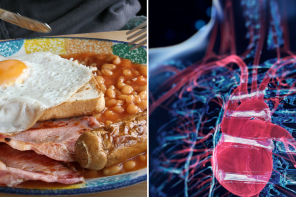 Scientists issue warning to anyone who skips breakfast after serious health consequences revealed - Food & Drink