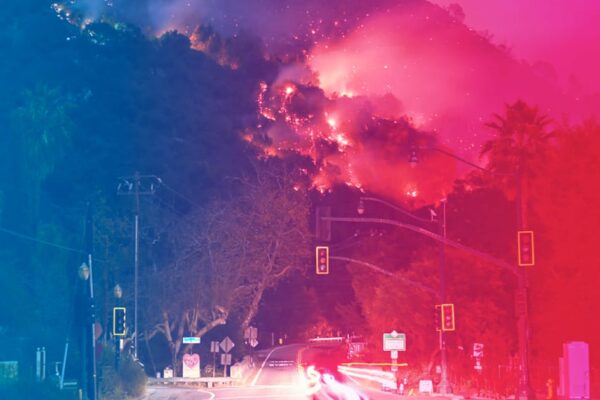 Beauty Brands Giving Back to Los Angeles Wildfire Victims