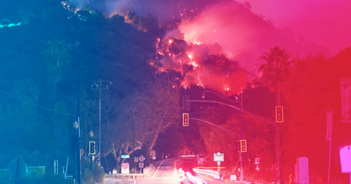 Beauty Brands Giving Back to Los Angeles Wildfire Victims