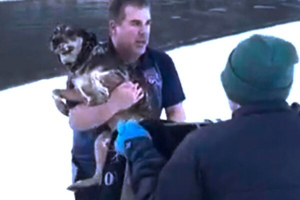 Man's dramatic rescue of dog from freezing river in Vermont caught on video