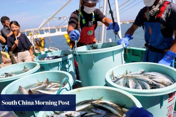 China’s call for deeper Japan trade ties may clear way for seafood imports to resume