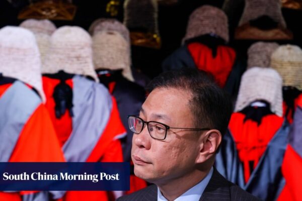 National security powers must be used wisely, Hong Kong barristers’ head says