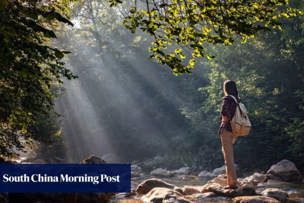 Ageing gracefully: the shift from lifespan to healthspan