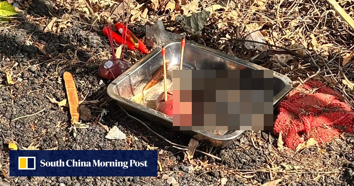 Cat’s head found on tray in Hong Kong village at start of Lunar New Year