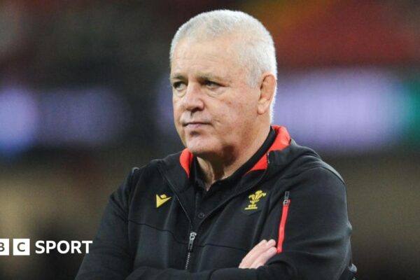 Warren Gatland questioning Wales review feedback was ‘poor’ – Ellis Jenkins Wales head coach Warren Gatland