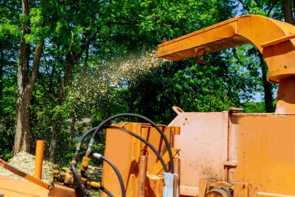 Tree trimmer killed in wood chipper accident in Florida Tree trimmer killed in wood chipper accident in Florida