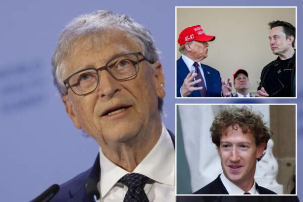 Bill Gates rips Elon Musk for 'populist stirring' in Europe: 'insane s--t'