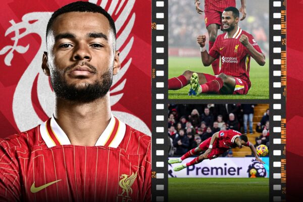 Cody Gakpo: How Liverpool forward developed into crucial figure for Arne Slot's Premier League leaders | Football News