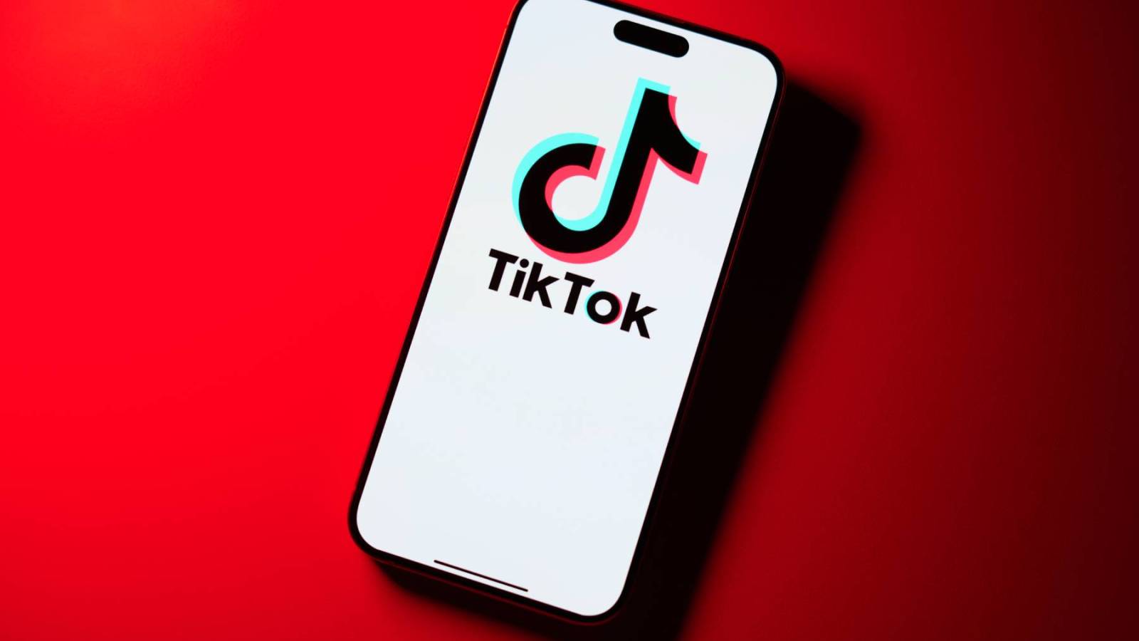 TikTok Says App Will 'Go Dark' on Sunday Unless Biden Steps In