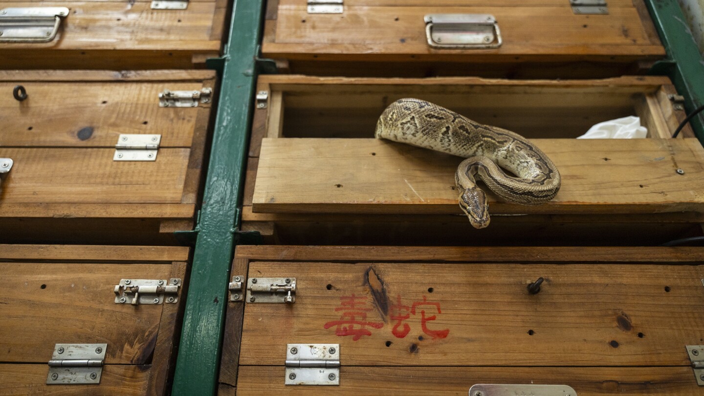 Hong Kong's snake soup is slithering away but still simmers in a decades-old kitchen