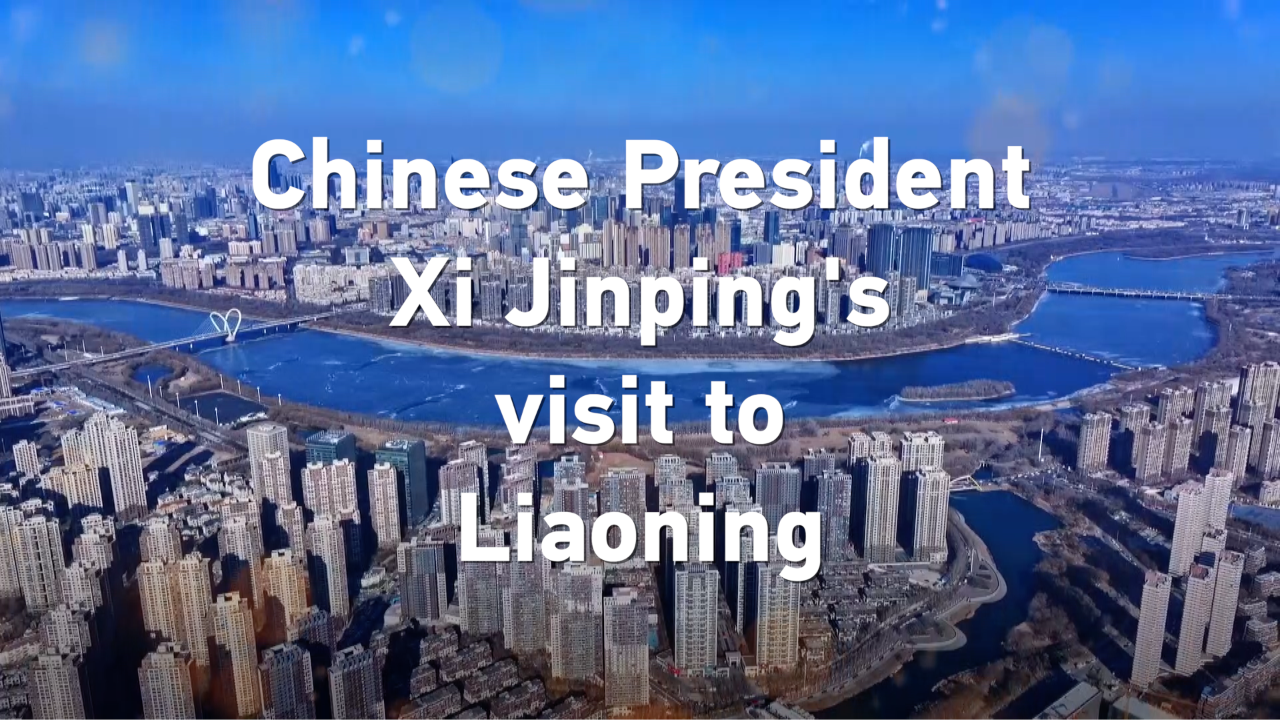 Chinese President Xi Jinping's visit to Liaoning