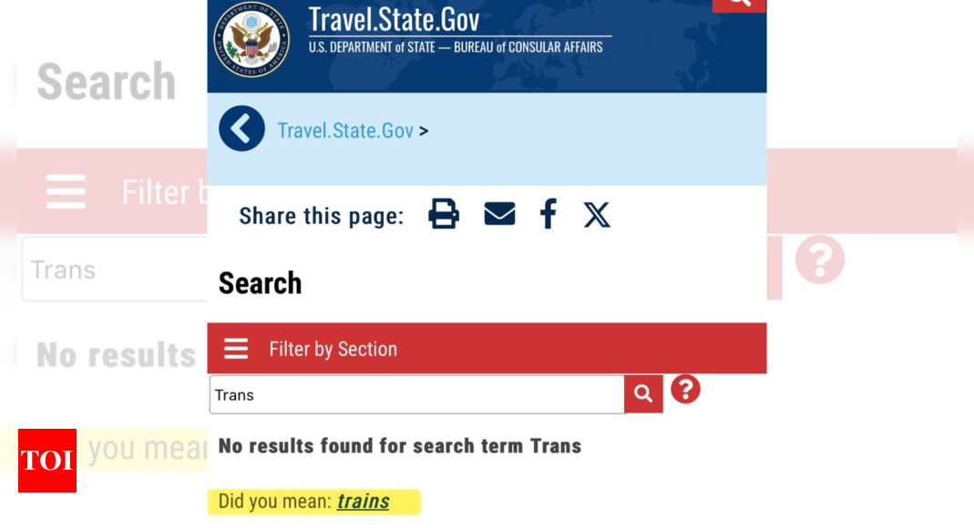 US state department’s ‘trans’ search result suggests ‘trains’; Elon Musk reacts