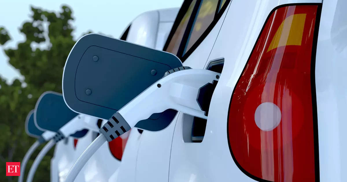 EV companies are betting future is premium. Will Indians buy it?