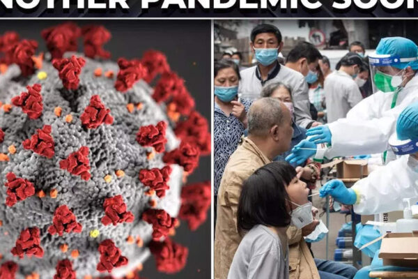 Another COVID-like pandemic soon? China discovers new deadly bat coronavirus that can infect humans - The Economic Times Video