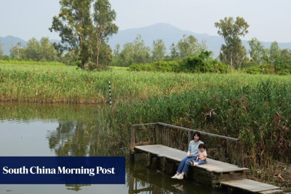 Hong Kong developer will return part of wetland site to government management: report