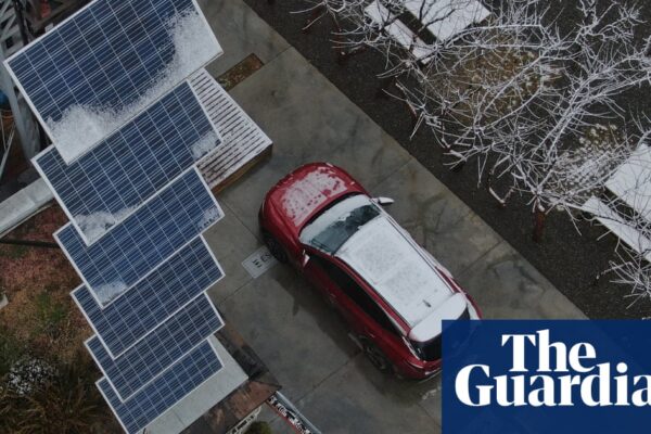 Authoritarian leaders in former Soviet bloc seize on Musk’s USAid crackdown | USAid