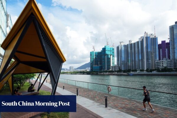 ‘Difficult year’ ahead for Hong Kong developers as fading rate-cut hopes cloud outlook